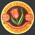 Gironde-53nv (tulipe 53)